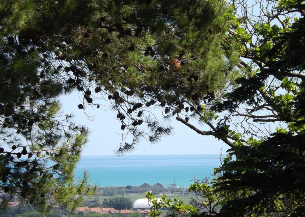 Tenuta Villa Colle Sereno มอนเตมาร์เชียโน ภายนอก รูปภาพ
